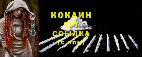 прущие грибы Волосово