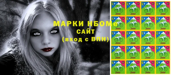 прущие грибы Вяземский