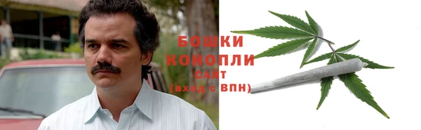прущие грибы Вяземский