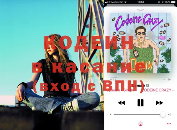 прущие грибы Волосово