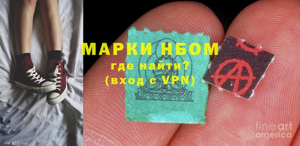 прущие грибы Волосово