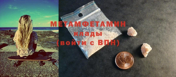 прущие грибы Вяземский