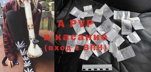 прущие грибы Вяземский