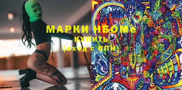 прущие грибы Вяземский