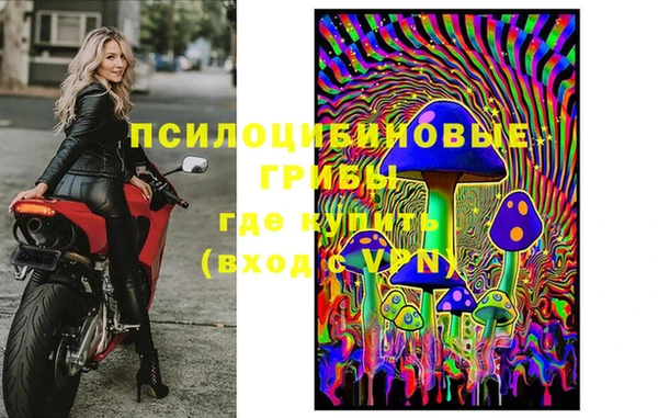 прущие грибы Вяземский