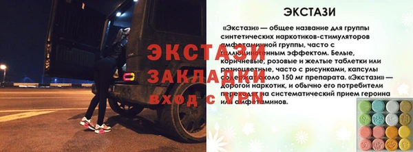 прущие грибы Вяземский